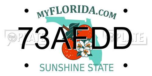 73AFDD Florida License Plate