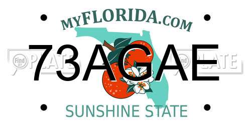 73AGAE Florida License Plate