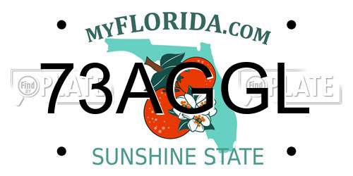 73AGGL Florida License Plate