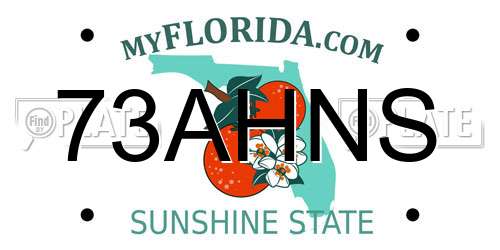 73AHNS Florida License Plate