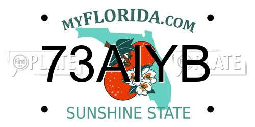 73AIYB Florida License Plate