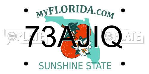 73AJIQ Florida License Plate
