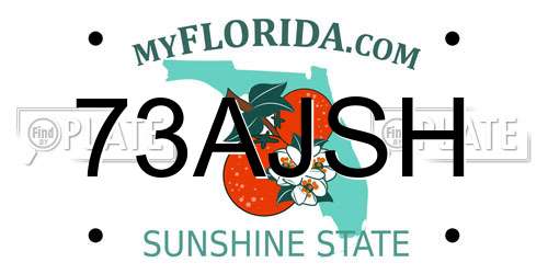 73AJSH Florida License Plate
