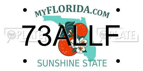 73ALLF Florida License Plate