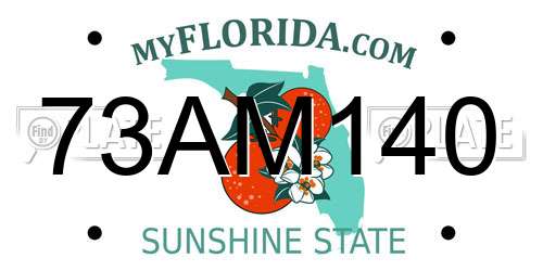 73AM140 Florida License Plate
