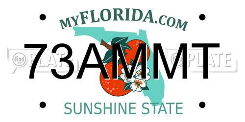 73AMMT Florida License Plate