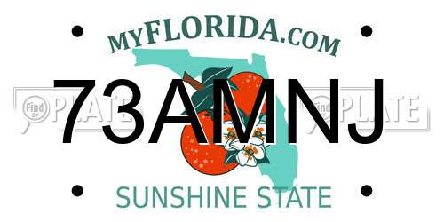 73AMNJ Florida License Plate