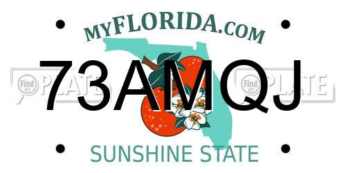 73AMQJ Florida License Plate