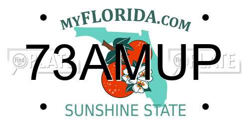 73AMUP Florida License Plate