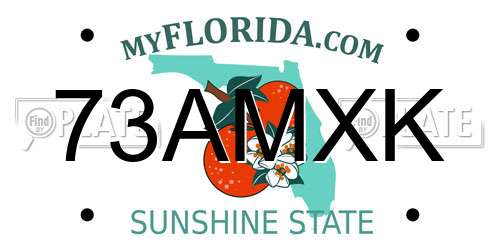 73AMXK Florida License Plate