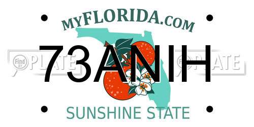73ANIH Florida License Plate