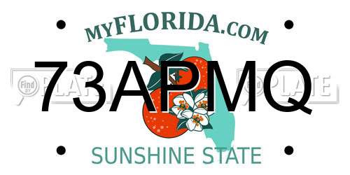 73APMQ Florida License Plate