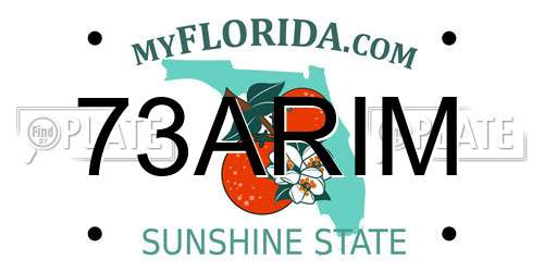 73ARIM Florida License Plate