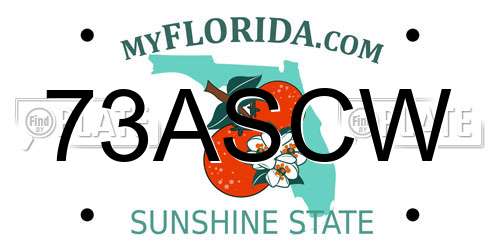 73ASCW Florida License Plate