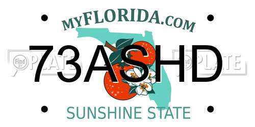 73ASHD Florida License Plate