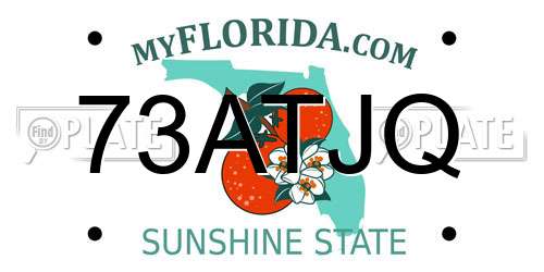 73ATJQ Florida License Plate