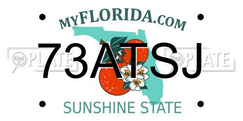 73ATSJ Florida License Plate