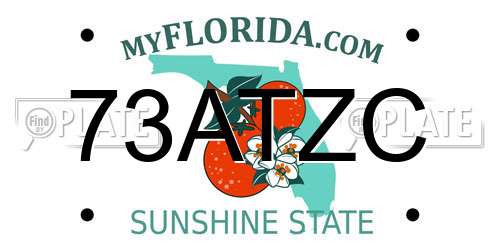 73ATZC Florida License Plate