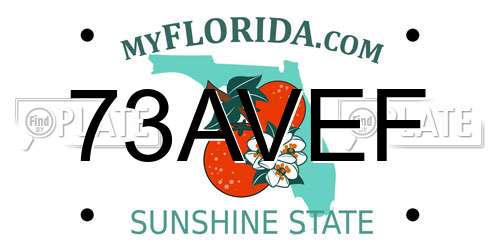 73AVEF Florida License Plate