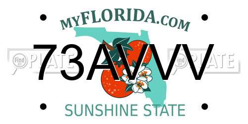 73AVVV Florida License Plate