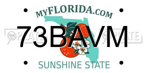 73BAVM Florida License Plate