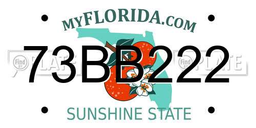 73BB222 Florida License Plate