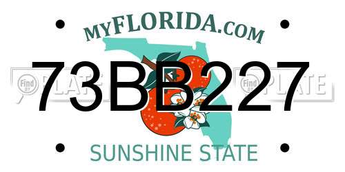 73BB227 Florida License Plate