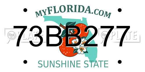 73BB277 Florida License Plate