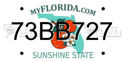 73BB727 Florida License Plate