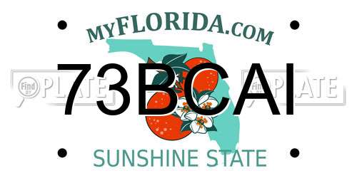 73BCAI Florida License Plate