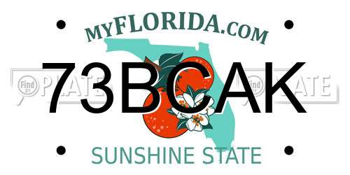 73BCAK Florida License Plate