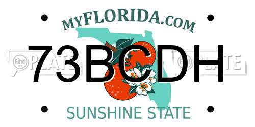 73BCDH Florida License Plate