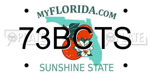 73BCTS Florida License Plate