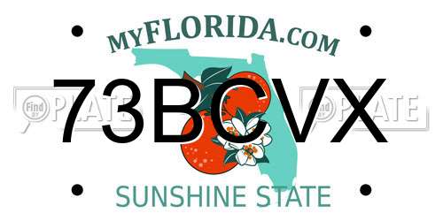73BCVX Florida License Plate