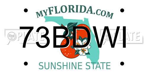 73BDWI Florida License Plate