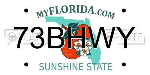 73BHWY Florida License Plate