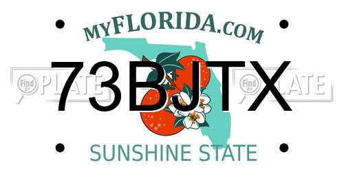 73BJTX Florida License Plate