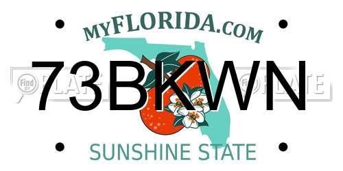 73BKWN Florida License Plate