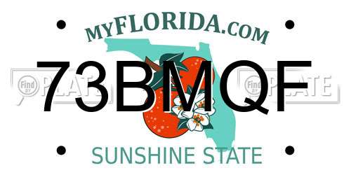 73BMQF Florida License Plate