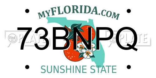 73BNPQ Florida License Plate