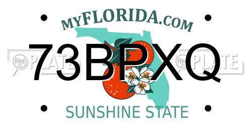 73BPXQ Florida License Plate