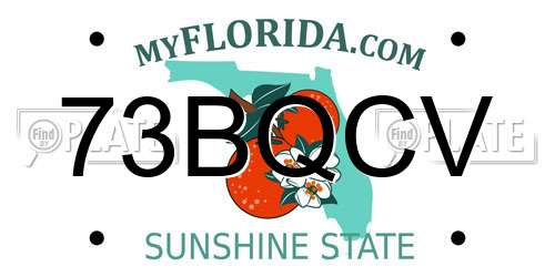 73BQCV Florida License Plate
