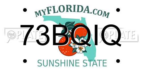 73BQIQ Florida License Plate