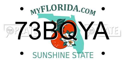 73BQYA Florida License Plate
