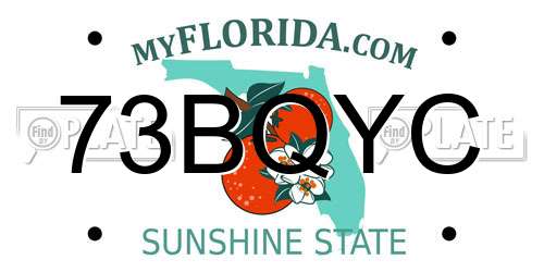 73BQYC Florida License Plate