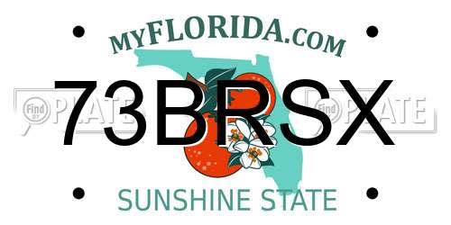 73BRSX Florida License Plate