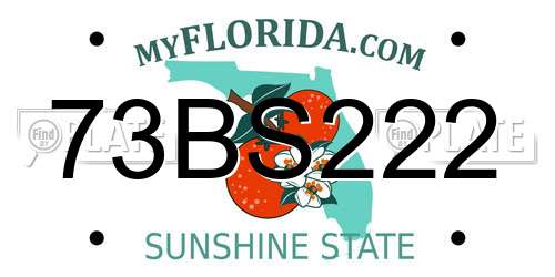 73BS222 Florida License Plate