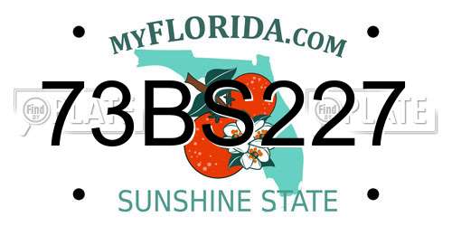 73BS227 Florida License Plate