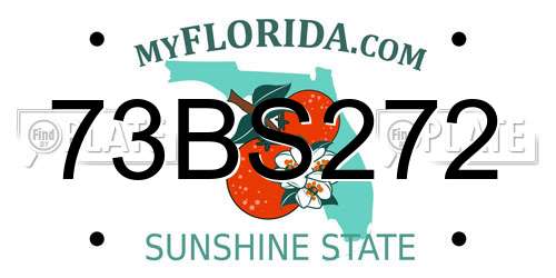 73BS272 Florida License Plate