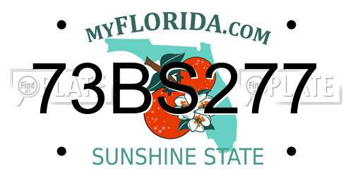 73BS277 Florida License Plate
